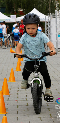 bg 2024 bg 2024